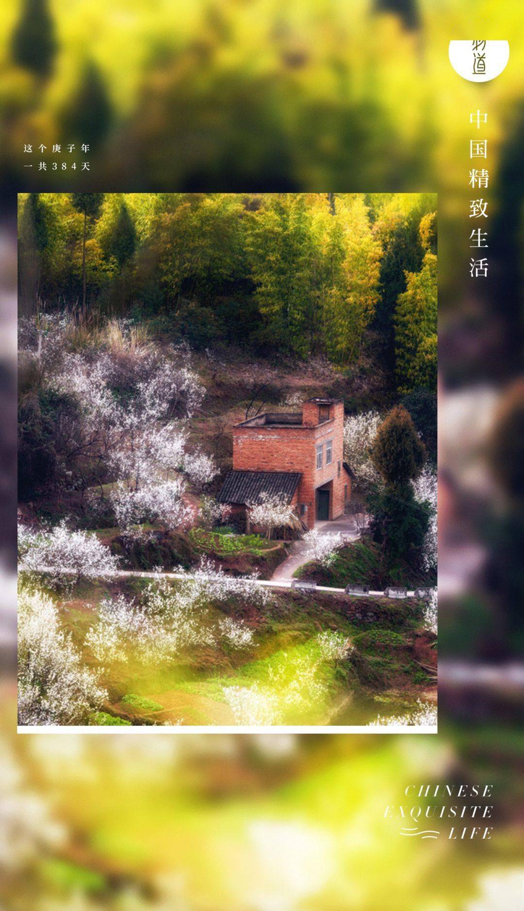 葫芦小金刚简谱_葫芦小金刚图片(3)