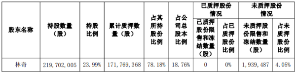 股东|游族网络控股股东林奇累计质押1.72亿股 占其持股78%