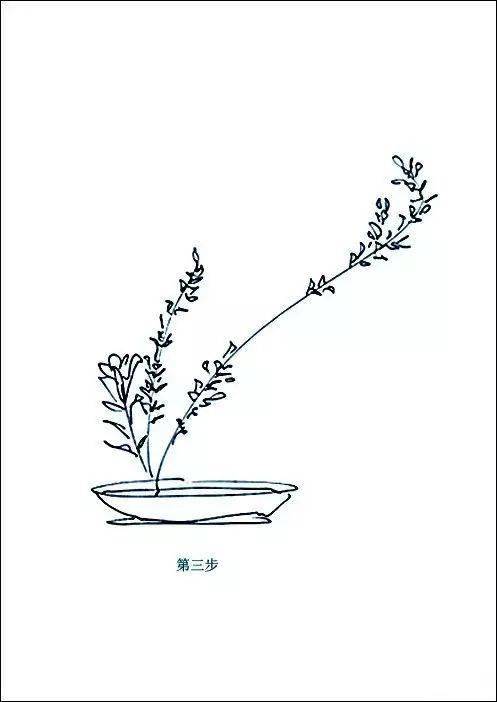 技| 中式插花布局技巧(图解)