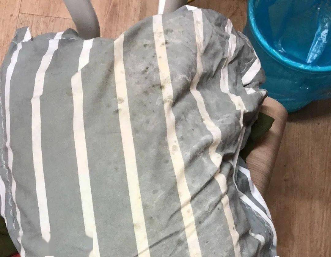东北|到底有多强大？在珠海的东北人