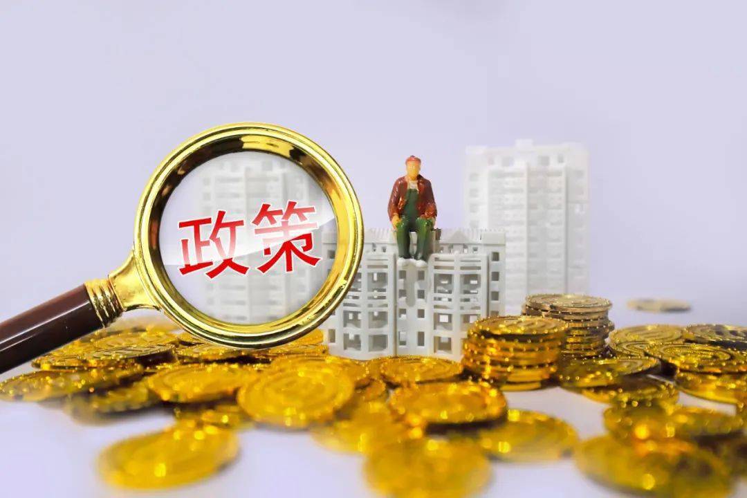 都有哪些政策支持