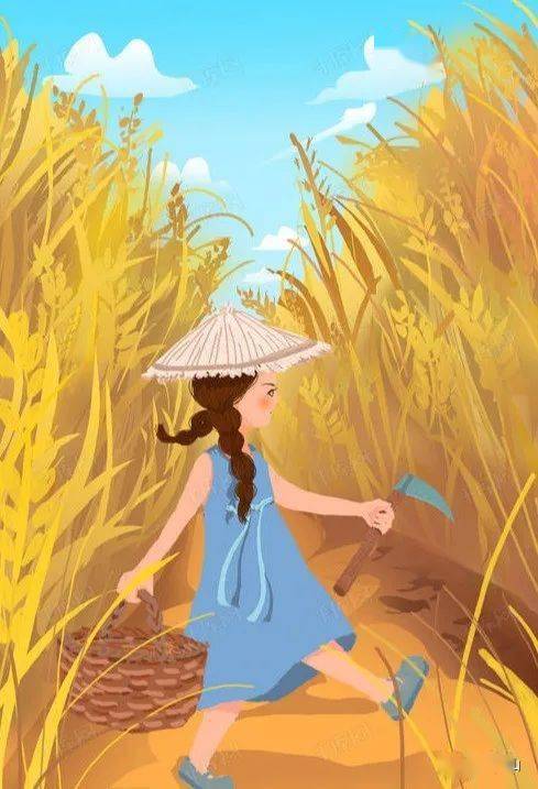 "瞰"鸿山"丰"景美如画_稻田
