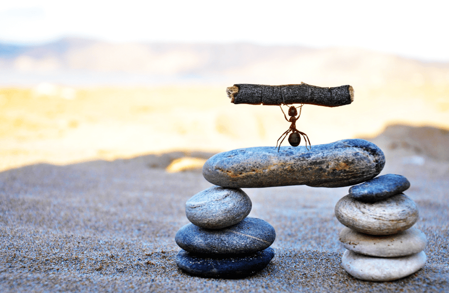 公司|股票代码688688！A股将迎来一只巨大的“蚂蚁”，估值两万亿有望成今年最大IPO