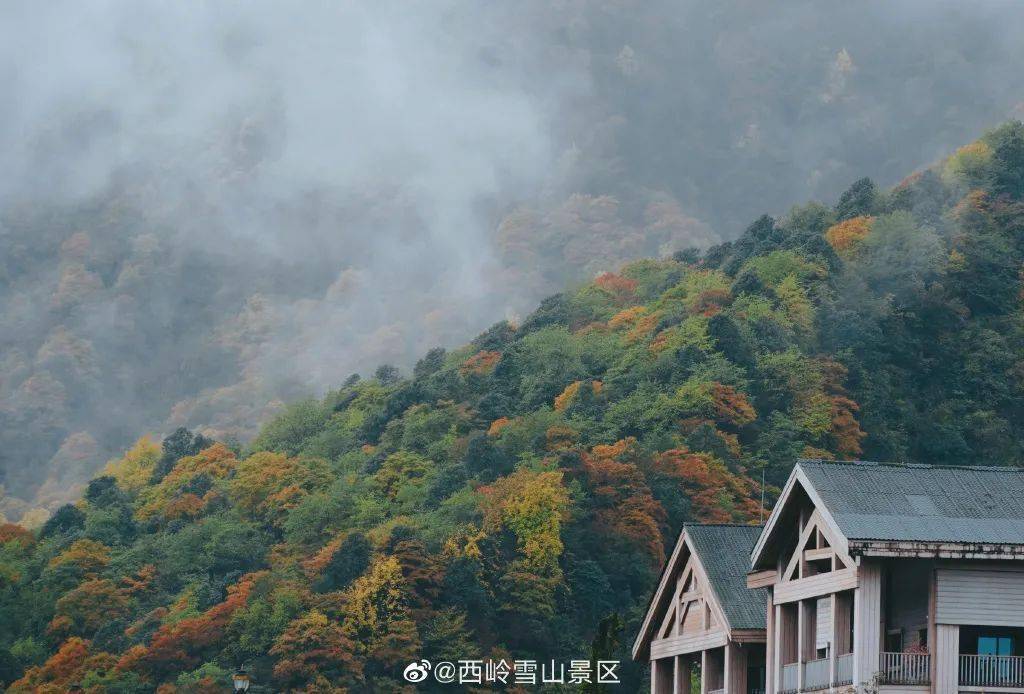 西岭雪山海拔3250米的日月坪山顶则已是南方孩纸难得一见的白色童话