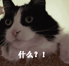 男子炖了一锅汤,结果被拘留