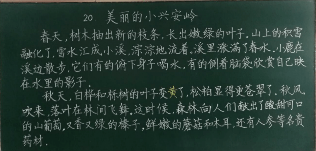 板书|写板书是一门技术也是一门艺术，来看上海教师们的板书