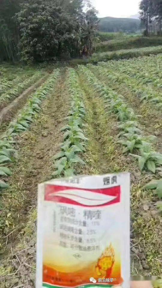 独家登记用于烟草田的苗后专用除草剂烟虎