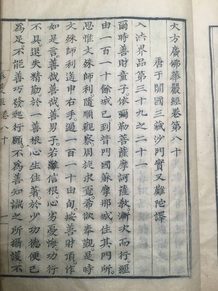 安人|高山杉|一本残书引起的一系列发现