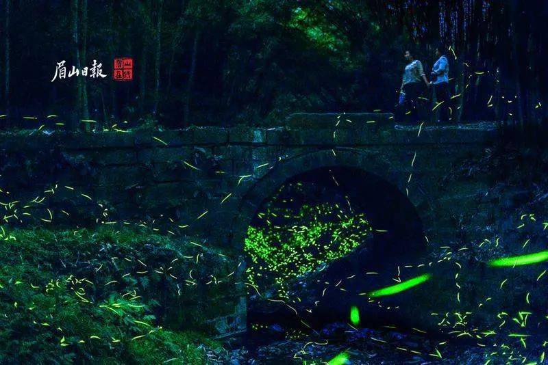 眉山人口2021总人数_眉山水街开放时间2021