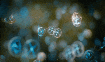 头发|亲测好用！49元的国货吹风机，3分钟速干，效果堪比千元戴森