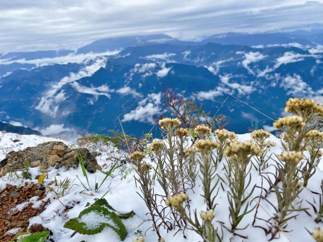昭通大山包开启雪景模式