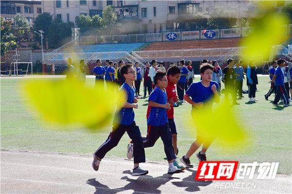 邵阳|邵阳湘郡铭志学校：醉美银杏泛黄时