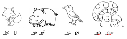 鸽子拼音怎么写