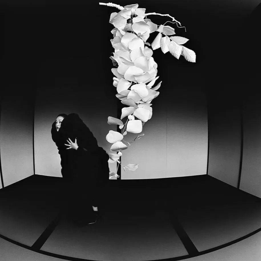 Noir|谁的粉色浴花？实验系设计鬼才Noir Kei Ninomiya用黑与粉打开你的少女心