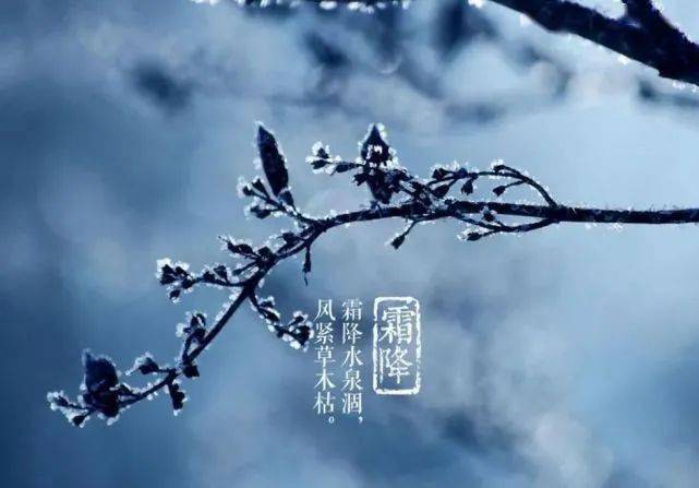 霜降节气问候语说说 霜降节气快乐,注意保暖