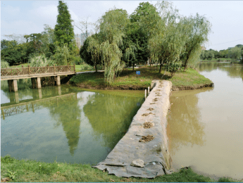 近日,丰城环保公布了,玉龙河湿地公园的水生态治理成果.