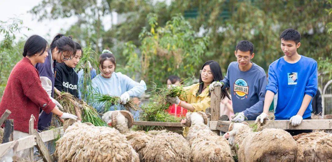 【关注】广汉首个大学生劳动教育实践基地正式启动!