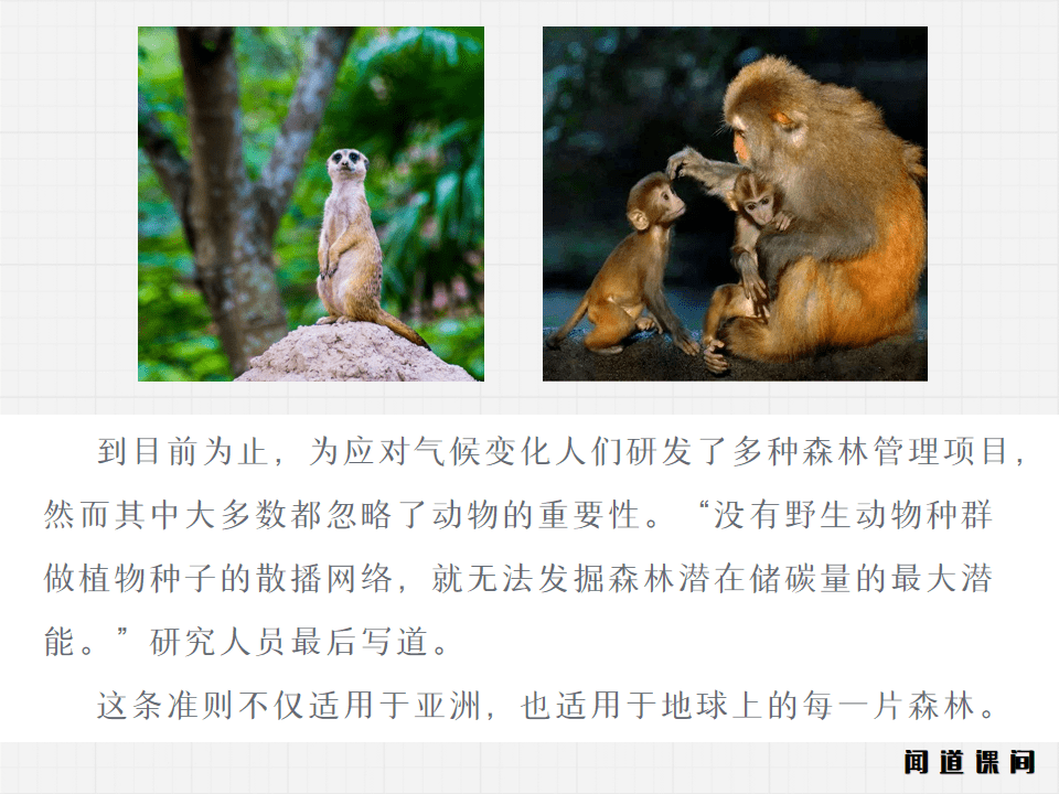 d29530faa550495b93fc4b3edf9323ac.png