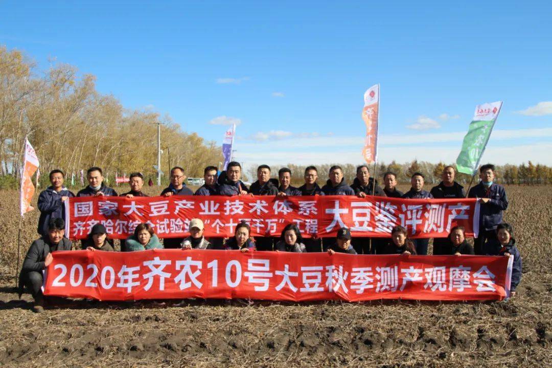 2020年富尔"齐农10号"大豆秋季测产观摩会,在克山县古城镇新隆村举行