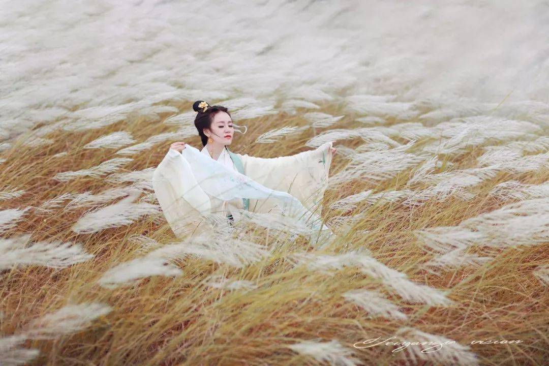 蒹（jiān）葭（jiā）：芦苇。蒹，没长穗的芦苇。葭，初生的芦苇