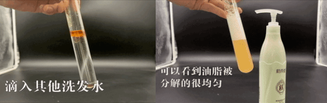 头发|洗了20几年的头，到底该洗“头皮”还是“头发”？