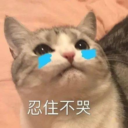 17121956858b4fc7bc0374bedd253f74.jpeg