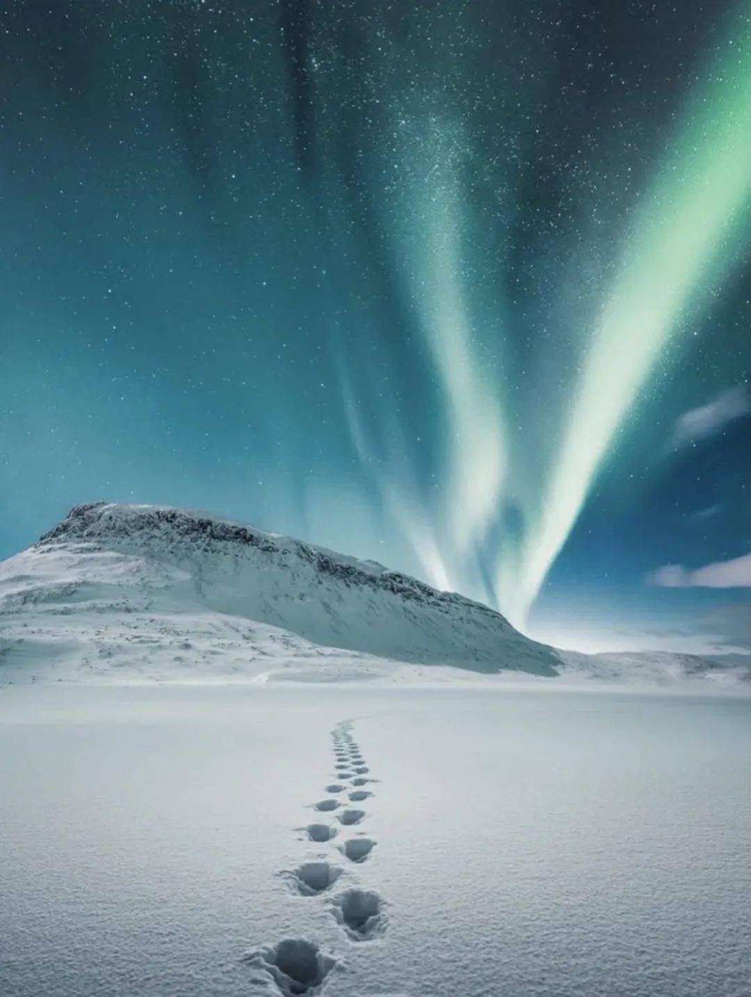 call|常年生活在0下20度！但这些极地女生的皮肤依然嫩到掐出水，都是这款芬兰国宝护肤品的功劳！李佳琦也在疯狂打call！