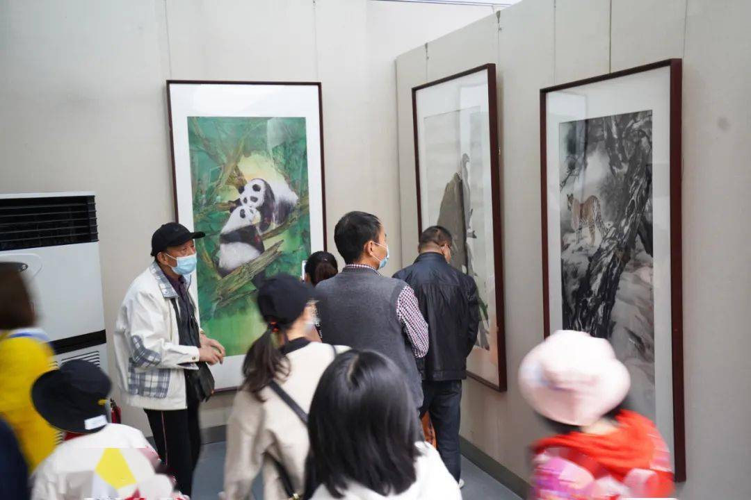 开幕67保护野生动物守护生命家园唐青野生动物画展