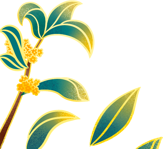 距离|不是人人都能做好儿女，你距离父母的精神世界有多远？