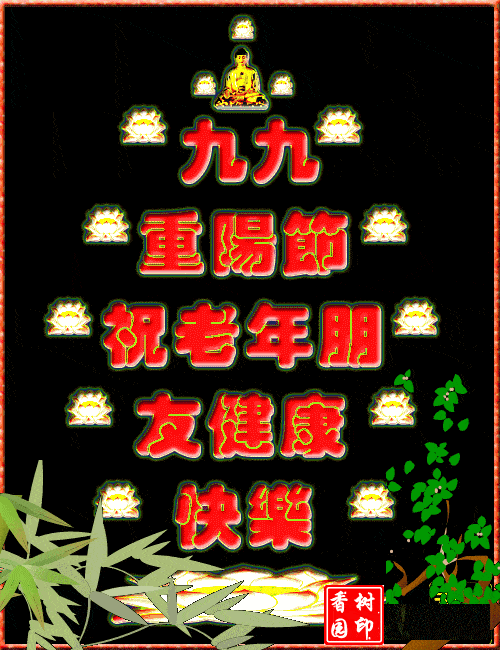 500_650 竖版 竖屏