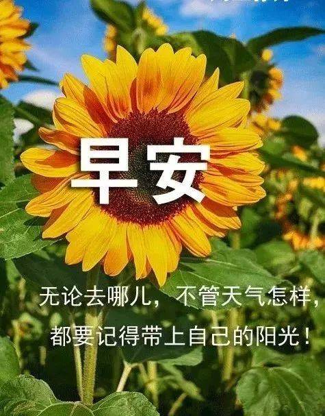 每日清晨问好图 37e30786aa954d13a0dd049ad2cfd5e1.jpeg