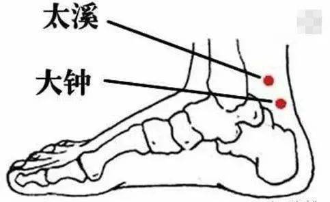 如何调理肾脏的方法 6d2ba33e15c3453fade67f744e5b0a5c.jpeg
