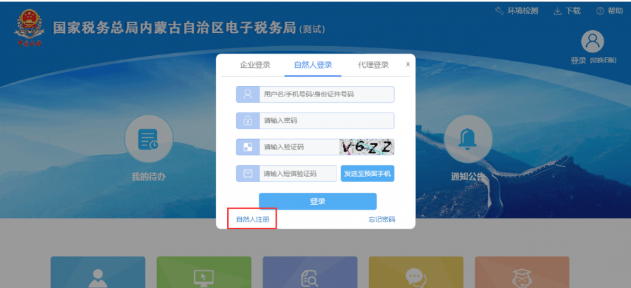 电子税务局自然人注册登录
