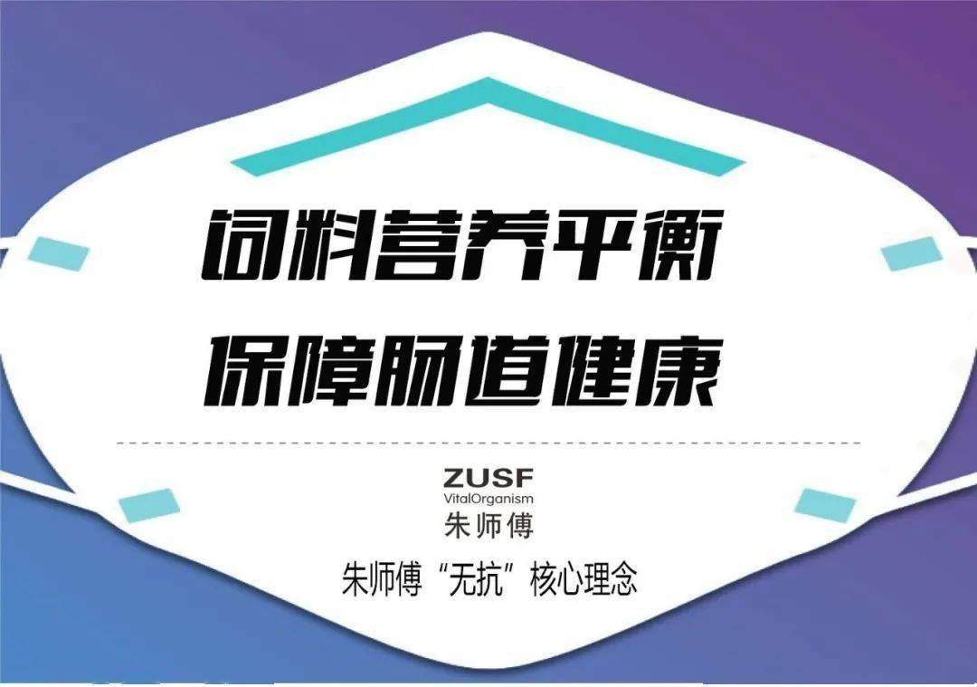 三,朱师傅做了从教槽料开始全程无抗的饲料饲养试验,并经过了双重实践