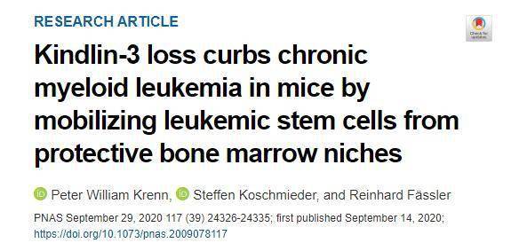 粒细胞|【PNAS】慢性粒细胞白血病新疗法——通过抑制Kindlin-3的产生