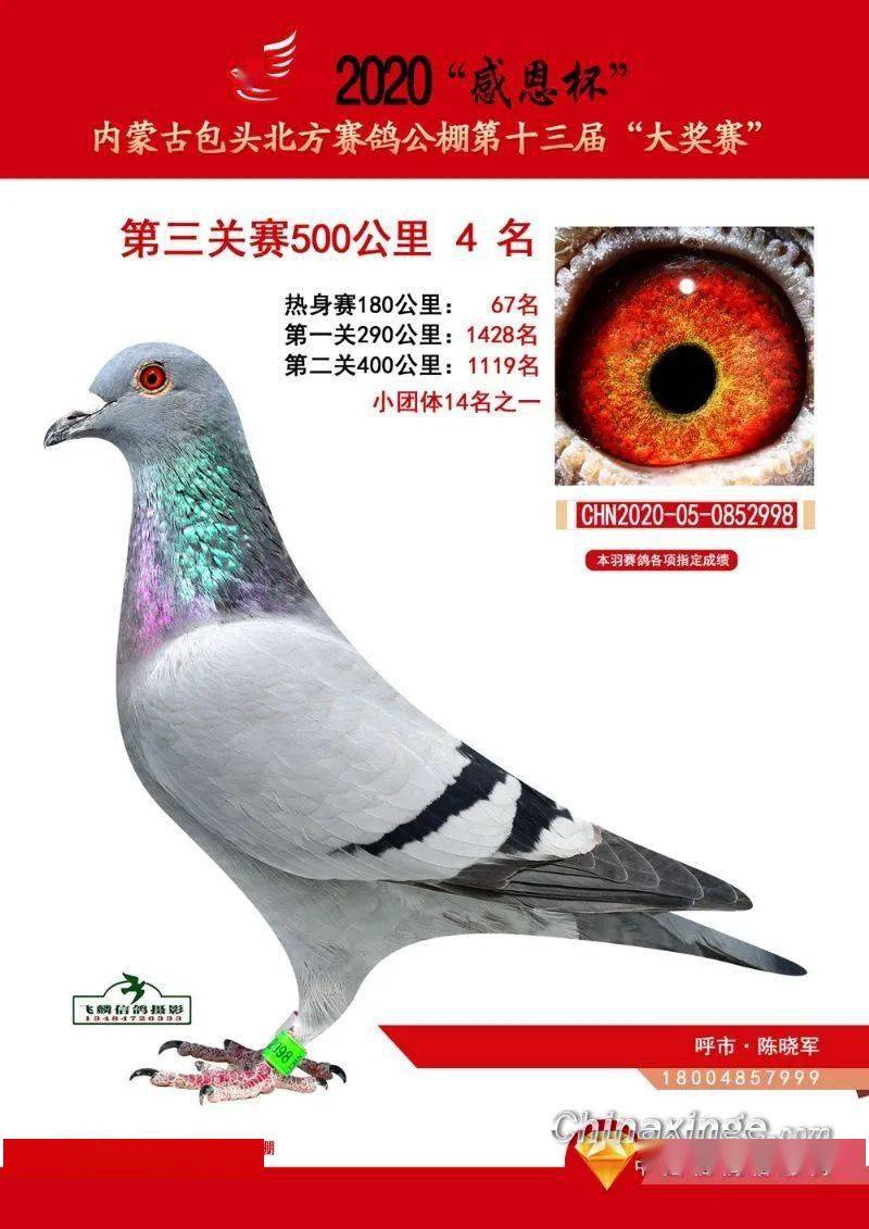 1f9032980fb14db8a7f2809964988585.jpeg