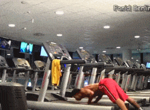 腹肌|健身40天，他从大肚男变腹肌型男，看到他的训练我自卑了.....