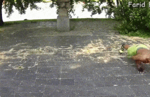 腹肌|健身40天，他从大肚男变腹肌型男，看到他的训练我自卑了.....