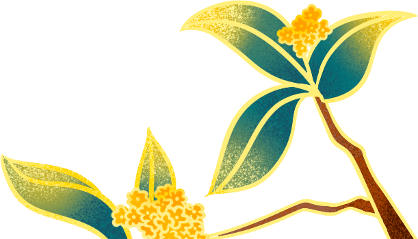 这项服务也可以在九堡街公共服务中心进行管理 过来看看！【ky.com】(图4)