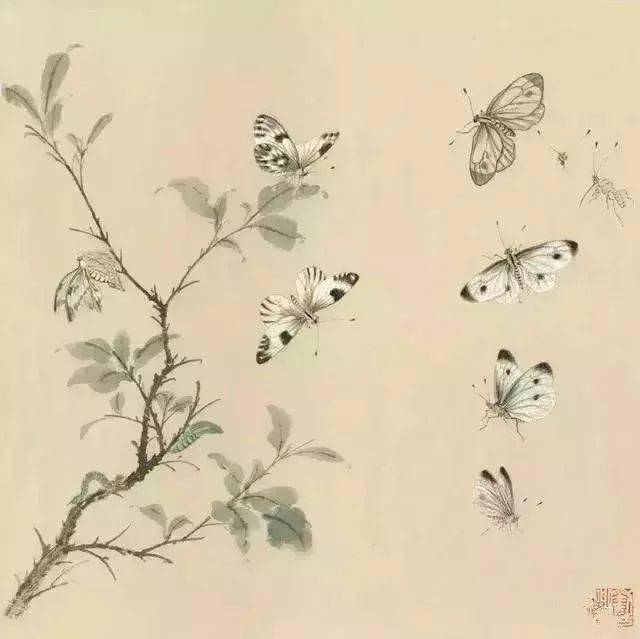 国画蝴蝶蜜蜂画法,简单实用