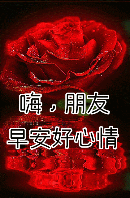 10月26日最漂亮动态表情图片大全