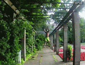 腹肌|健身40天，他从大肚男变腹肌型男，看到他的训练我自卑了.....