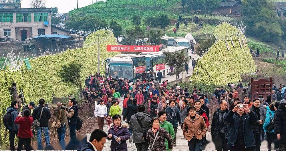 《茶园成长记(组照)开州区大进镇红旗村 邹哨兵/摄《定点帮扶助力