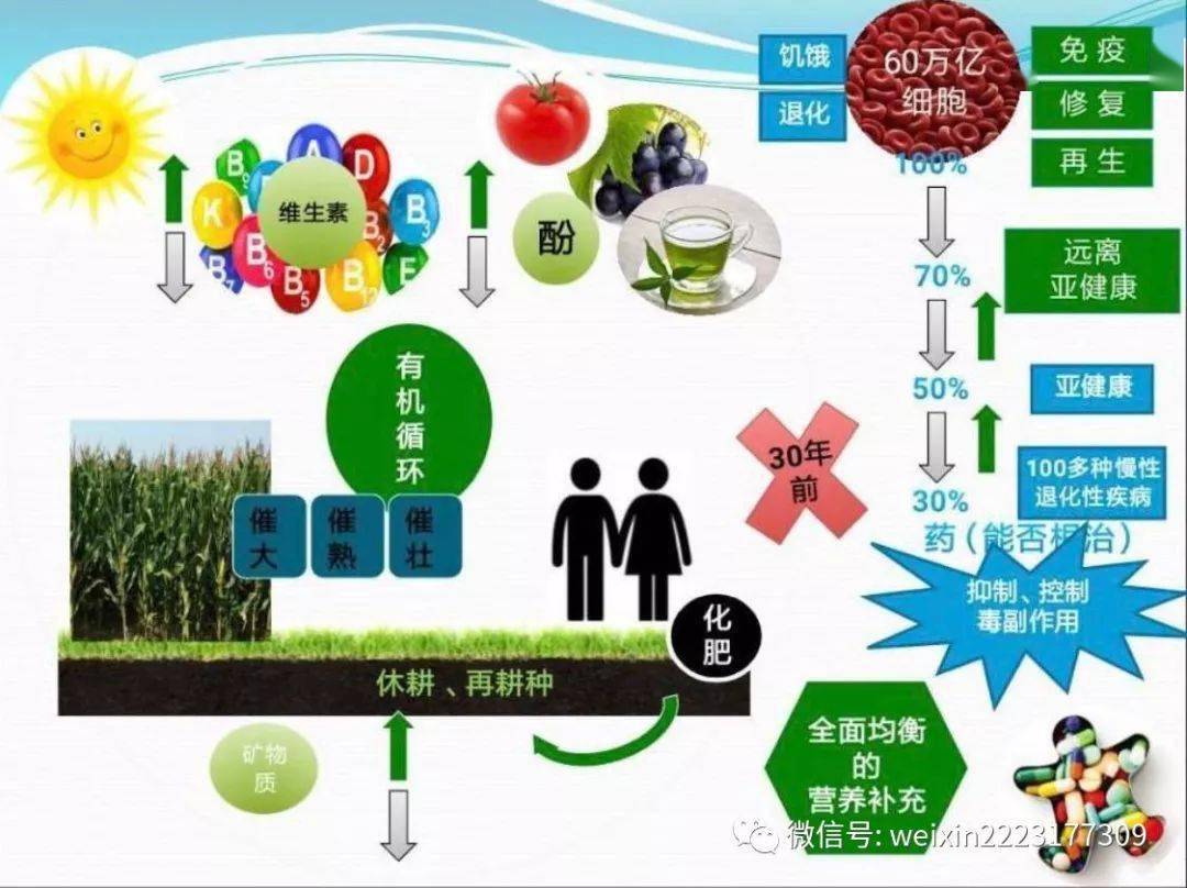 什么叫代谢物 2cc62d6171f245a3badcdd12deff4520.jpeg