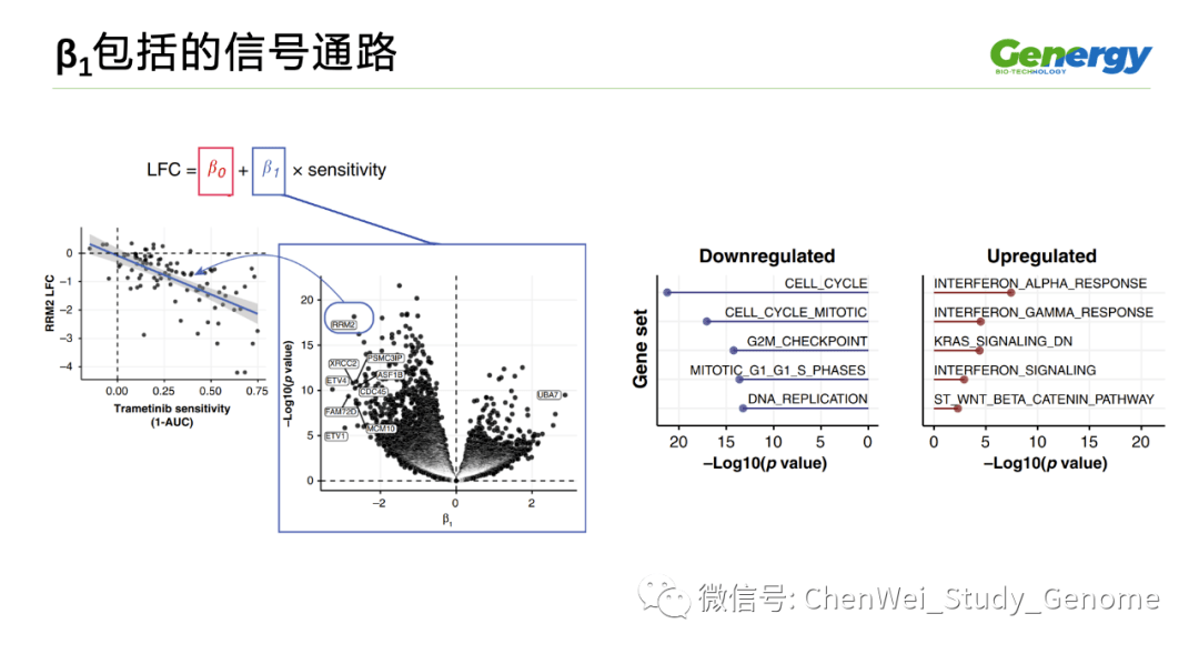 细胞疗理仪是什么原理_雾疗是什么