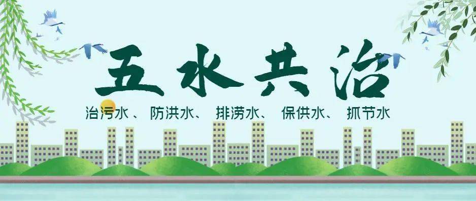 助力"五水共治",葭沚街道拍了拍你