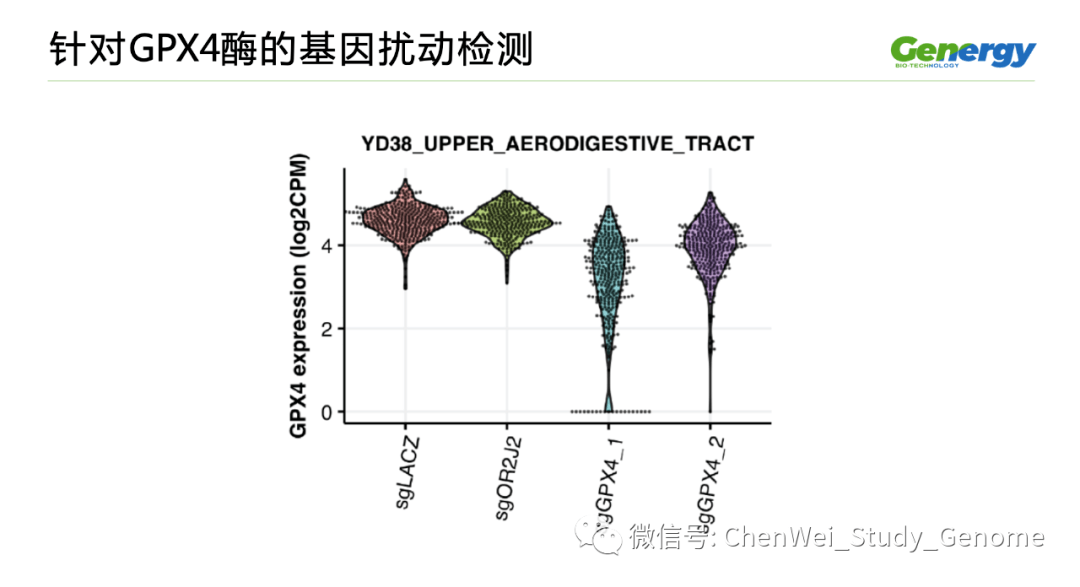 细胞疗理仪是什么原理_雾疗是什么(2)