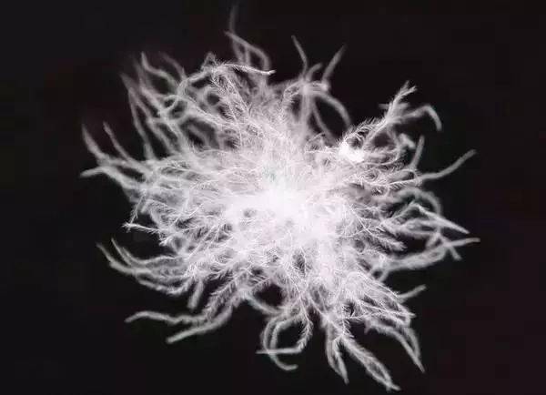 护膝|拒做老寒腿！穿上10分狂升10度，腿部小太阳，穿上秒隐形