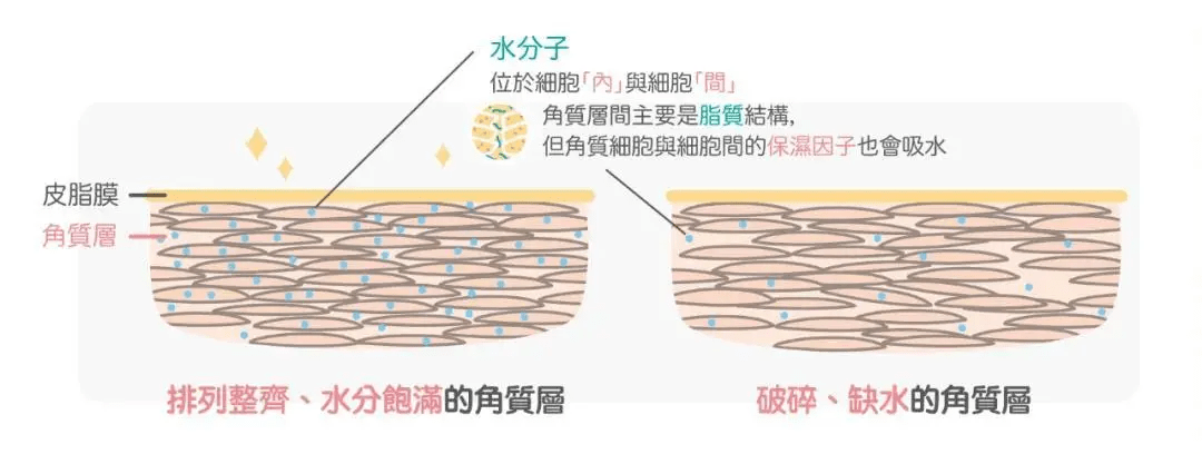 陈坤|不是吧,“不老男神”陈坤的颜值现在连李佳琦都比不过了??