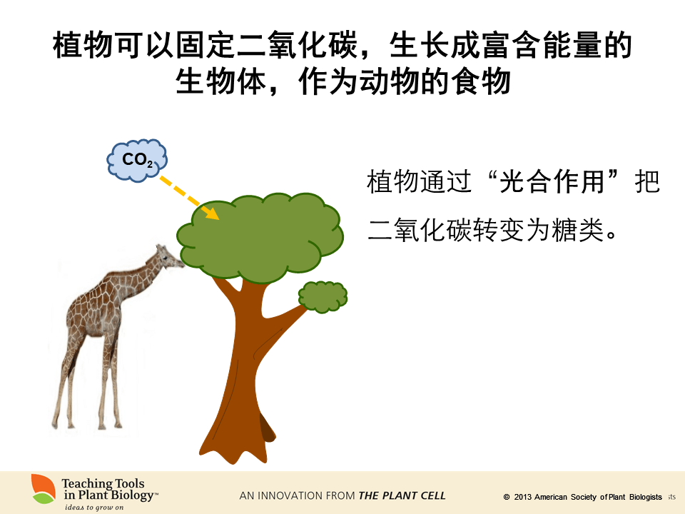 b7c1d6c133704ff7a1134e9f74456a35.png